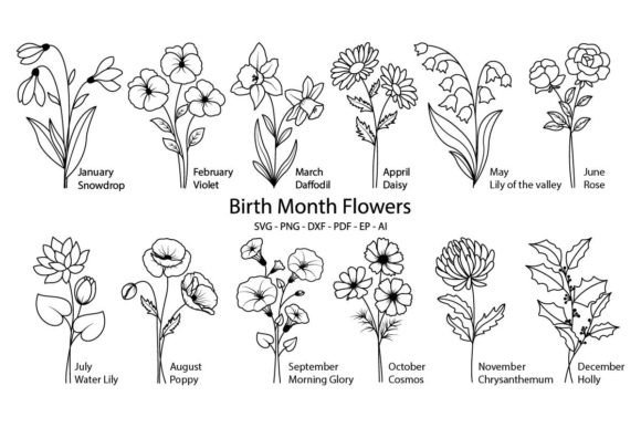 Download Birth Month Flowers Svg, Flower Svg - Premium Resources